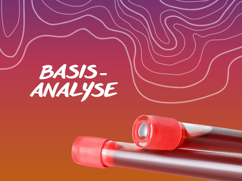 basis_analyse