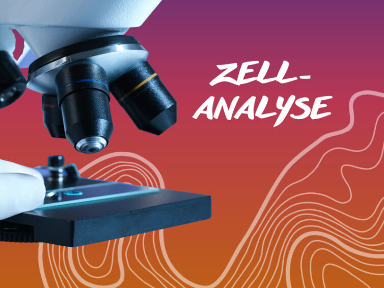 ZELL-ANALYSE<br> <span class="pro-price"> 599 CHF</span>